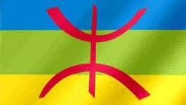 Algérie : le Comité national des étudiants démocrates amazigh est né