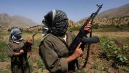 Après le raid meurtrier, le PKK appelle au "soulèvement"