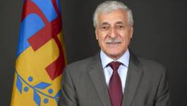 Situation en Kabylie : Ferhat Mehenni interpelle les institutions internationales