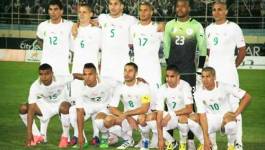 Classement FIFA : l'équipe nationale algérienne progresse