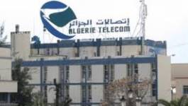 Vol de câbles à Oran : 12 milliards de pertes pour Algérie Télécom