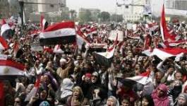 Egypte : colère et appel à de grandes manifestations aujourd'hui au Caire