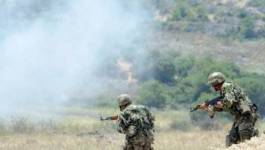 Boumerdès : 9 terroristes abattus par les soldats de l'ANP