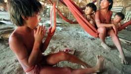 Venezuela : la tribu Yanomami massacrée en Amazonie