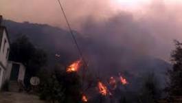 Incendies de forêts : entre silence et cafouillage en haut lieu