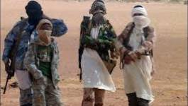 Mali : l'intervention militaire et ses ombres