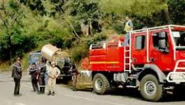 25 hectares ravagés par les flammes à Oran