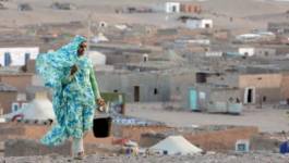 Les camps sahraouis de Tindouf : la menace terroriste pèse toujours