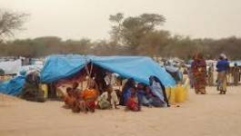 Mali : Amnesty international appelle à la protection des civils