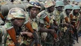Mali : la France et des armées africaines viennent en soutien