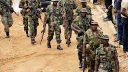 Massacre de Baga (Nigeria): "Les soldats ont mis le feu maison par maison"