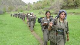 Les Peshmergas du PKK amorcent leur retrait historique de Turquie