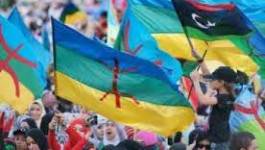 Les élus Amazighs se retirent du Congrès général national de Libye