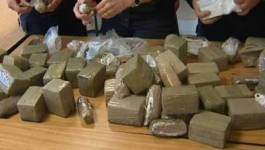 41 tonnes de drogues saisies durant les 4 premiers mois de 2013