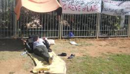Des employés de sites pétroliers en grève de la faim à Hassi R'mel