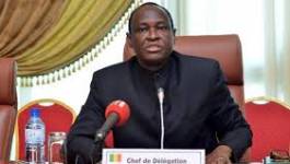 Présidentielle au Mali : Kidal contraint Tiébilé Dramé à jeter l’éponge