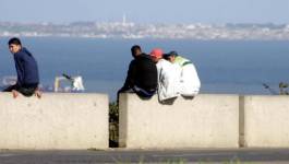 L’Algérie peine à remédier au chômage des jeunes