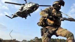 Des commandos des Pays-Bas en renfort au Mali ?