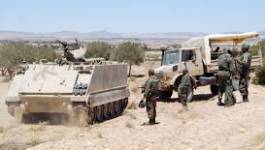 Tunisie : 13 terroristes tués dans des opérations militaires