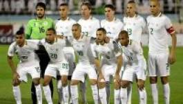 Mondial-2014 (Algérie) : le nouveau maillot des Verts dévoilé le 4 mars