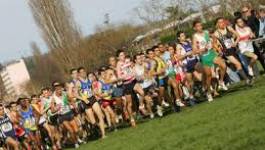 Challenge national de cross country FAA : les favoris imbattables à Tlemcen