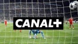 La Coupe du monde de football sera diffusée par Canal+ Afrique