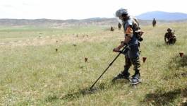 Plus de 5.000 mines datant de l'époque coloniale détruites en juin 2014