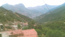 Bavures : trois jeunes Kabyles blessés par l'armée