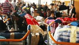 Indemnisation des vols de et à destination d’Algérie : le ministère des Transports interpelé