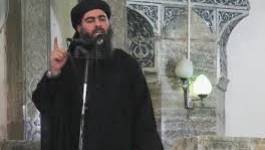 Les jihadistes égyptiens font allégeance à l’Etat islamique
