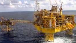 Le pétrole vendu 77,19 dollars après la baisse des prix saoudiens
