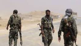 Syrie: les Kurdes éliminent des dizaines de jihadistes tués au combat