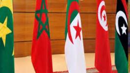 Les enjeux géostratégiques de l’intégration du grand Maghreb