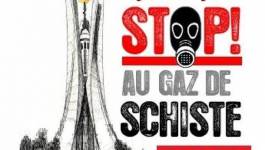 Appel à un rassemblement à Paris contre le gaz de schiste en Algérie