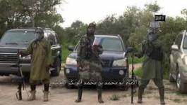 Boko Haram enlève 80 Camerounais, renforts tchadiens