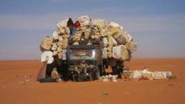 Le Sahara algérien victime du maraboutage africain