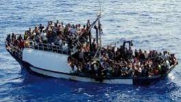 Plus de 1.000 immigrés sauvés en mer entre Lampedusa et la Libye