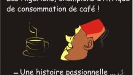 Les Algériens champions d'Afrique de consommation de café !
