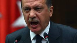 La Turquie ne permettra jamais un Etat kurde : «Quel que soit le prix à payer»