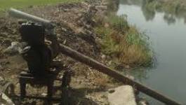 Batna : des terres agricoles irriguées avec des eaux usées