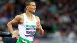Mondiaux d’athlétisme à Pékin : L’Algérien Taoufik Makhloufi en demi-finales du 1500m