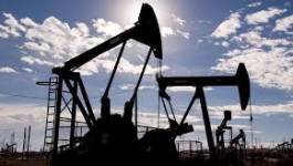 L'Opep s'attend à une hausse de la demande pétrolière en 2015