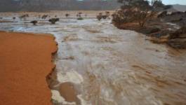 Les pluies diluviennes font 16 morts à Tamanrasset