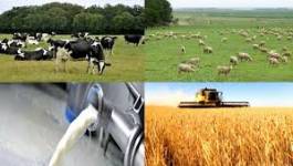Batna : les agriculteurs s'assurent peu contre les intempéries