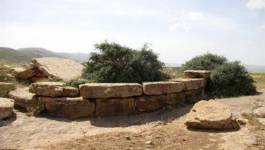 Ichouqan, la ville numide et ses milliers de tombeaux mégalithiques