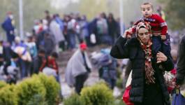 La Slovénie clôture sa frontière avec la Croatie pour contrôler les réfugiés