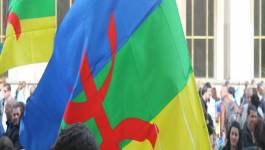 L’officialisation de tamazight ne libérera pas le peuple kabyle