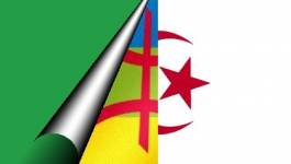 Les emblèmes des Etats nord-africains et amazighs complètent le puzzle identitaire