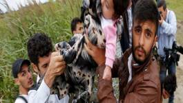 Drame en Europe : 6.500 migrants bloqués à la frontière gréco-macédonienne