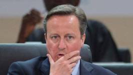 "Panama Papers": mobilisation à Londres réclamant la démission de David Cameron